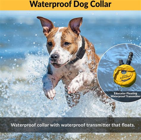 EDUCATOR By E-Collar Technologies Mini 1/2 Mile E-Collar Waterproof Dog ...