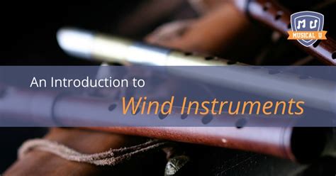 Image result for Wind Musical Instruments Sound Lesson
