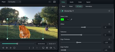 How to Remove Green Screen in Premiere Rush