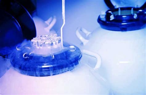 All you need to know about egg freezing | Femina.in