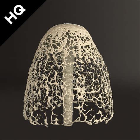 Image result for RealFlow Splash