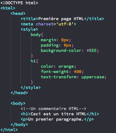 Apprendre a Coder En HTML CSS Pierre Giraud 的图像结果