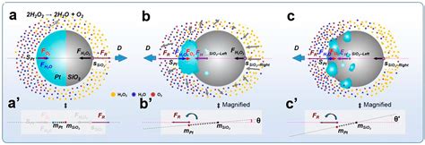 Structurally Dependent Self-Propulsion Behaviors of Pt-SiO2 Micromotors