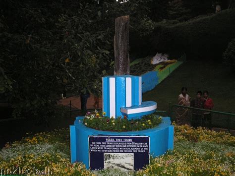 go2india.in : Fossil tree trunk at Ooty botanical garden