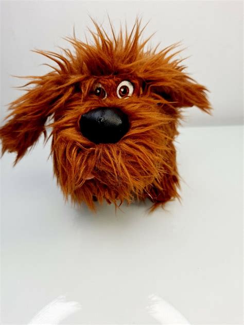 What Kinda Dog Is Duke From Secret Life Of Pets