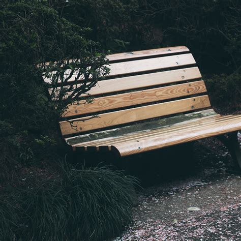 Download wallpaper 2780x2780 bench, park, foliage, trees ipad air, ipad ...