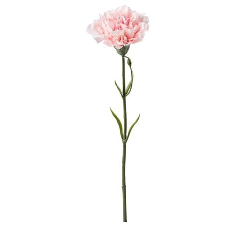 IKEA SMYCKA Artificial flower, carnation/pink, 30 cm with Artificial f ...