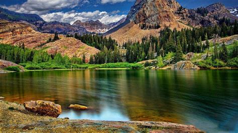 Image result for Colorado O2 Sensor Bank One