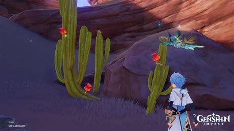 BEST Genshin Impact Redcrest Locations & How To Use Sumeru's Cactus Fruit