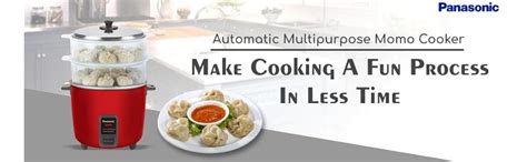 Buy Panasonic SR-WA18H(SS) 660-Watt Automatic Momo Cooker Warmer, Metal ...