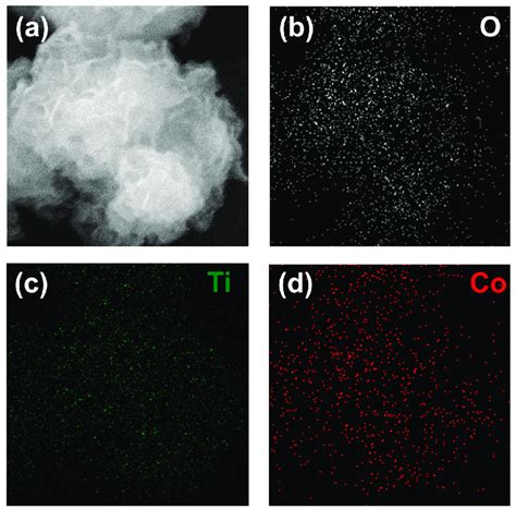 Convert CTO MATLAB 的图像结果