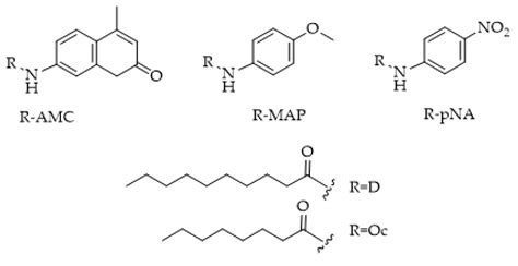 Fluorescence-Based Enzyme Activity Assay: Ascertaining the Activity and ...