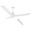 Buy RR Signature Slimaire 5 Star BLDC High Speed Ceiling Fan I Silent ...