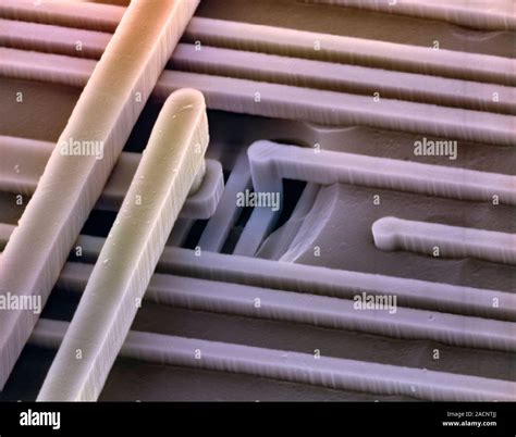 Image result for Microchip Microscope