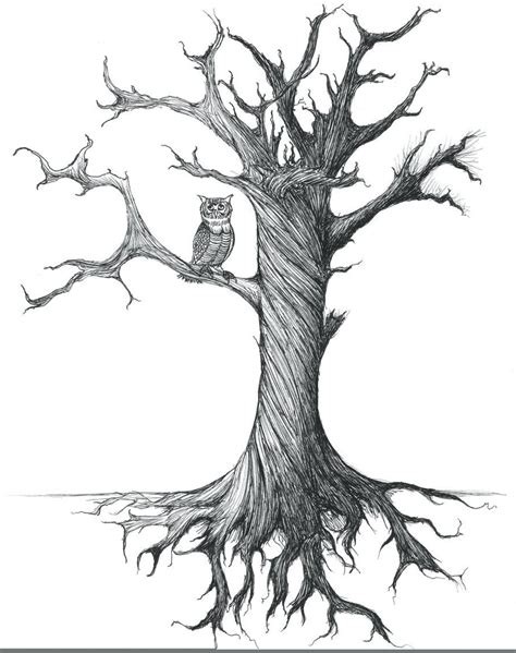 Tree And Roots Drawing at PaintingValley.com | Explore collection of ...