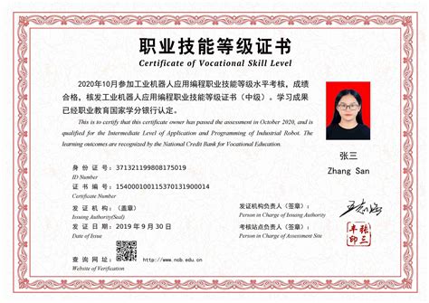 工业机器人应用编程职业技能等级证书（中级） | 辽宁省1+X证书制度书证融通管理平台
