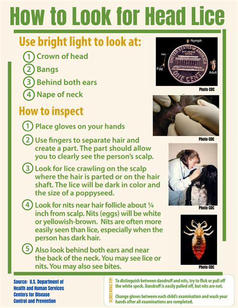 National Head Lice Prevention Month - River Bend Medical Associates