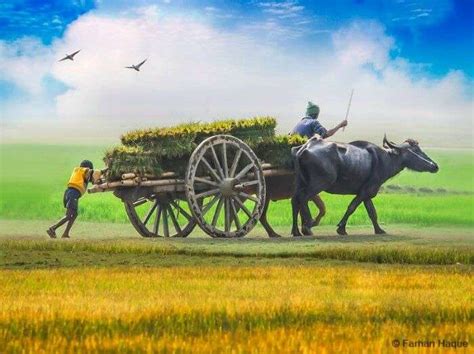 20 International Road Trips From India In 2026