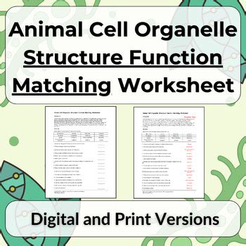 Cell Structure and Function Worksheet 的图像结果