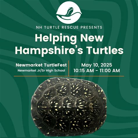 Helping New Hampshires Turtles at Newmarket TurtleFest 2025, Newmarket ...