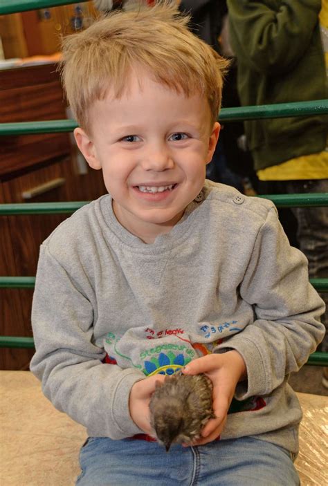 Farm animals and crafts delight children at the Charis Centre