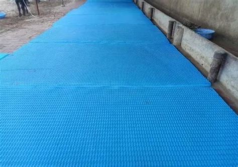 Dog Mats - Buy Dog Mats Online at Best Prices In India | Flipkart.com