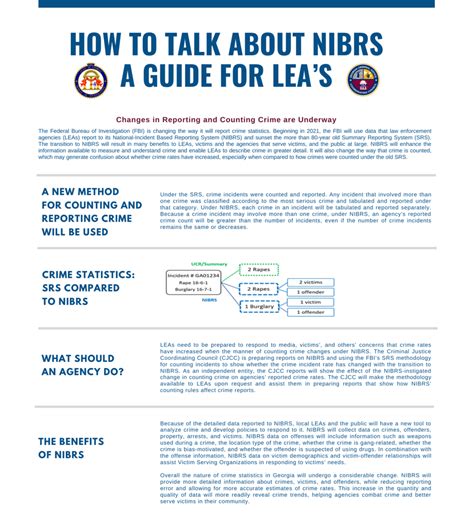 How to Use NIBRS 的图像结果