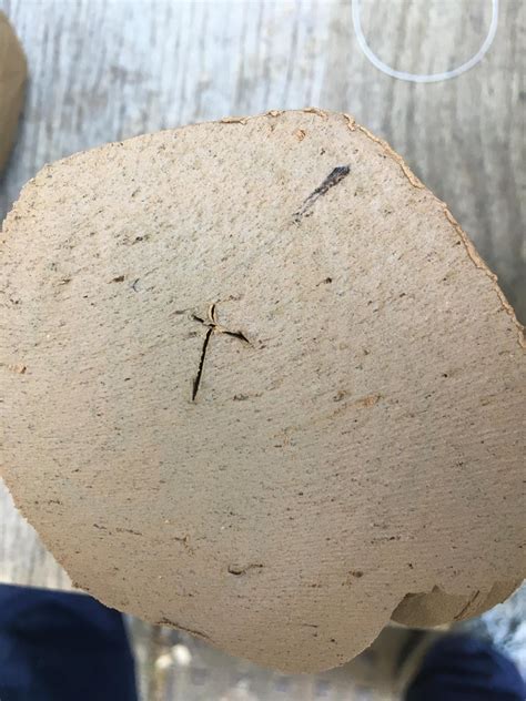 How to Find Diamonds Using River Clay 的图像结果