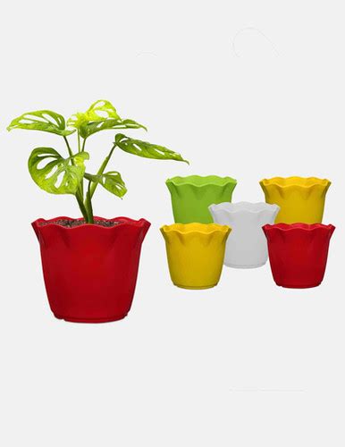 Blossom Planters 4 inch (set of 12 pots) | Hope Nursery