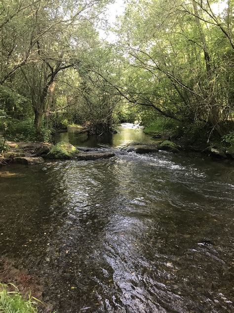 Image result for Nature Program Flow