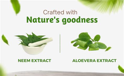 Norrex Neem Aloe Vera Face Wash - 100ml | Brightening Glowing Skin ...