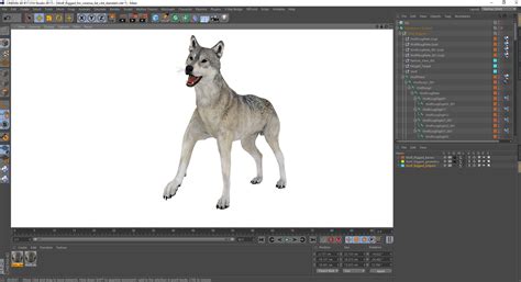 3D model Wolf Rigged for Cinema 4D | 3D Molier International