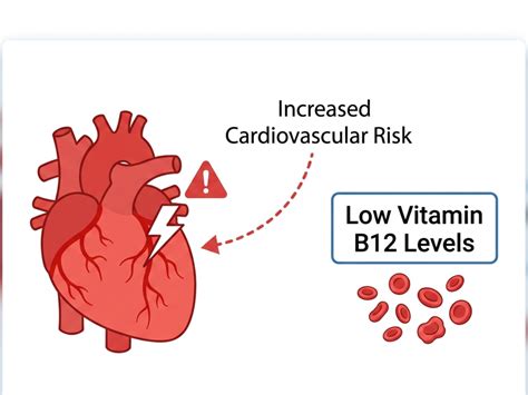 Vitamin B12 deficiency: Check cardiovascular risks due to low vitamin ...