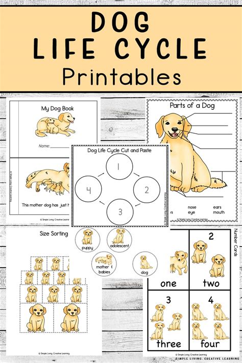 Dog Life Cycle Worksheets | Free Homeschool Deals