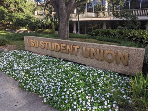 LSU Greek Life Director Angela Guillory leaves job • Louisiana Illuminator