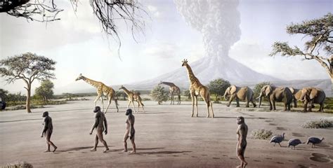 Image result for Australopithecus Reconstruction