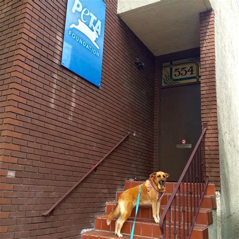 PETA Office Photos | Glassdoor