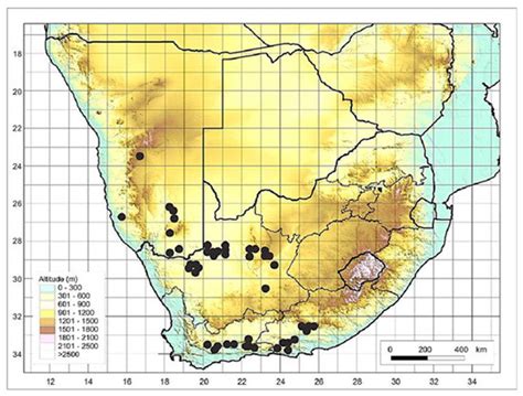 A Taxonomic Review of South African Indigenous Meliaceae Using ...