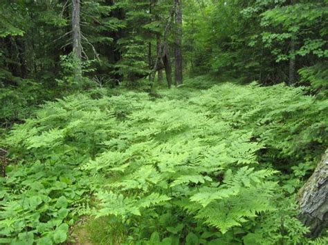 A “Must Do” Hike - Reviews, Photos - Echo Bay Trail - Tripadvisor