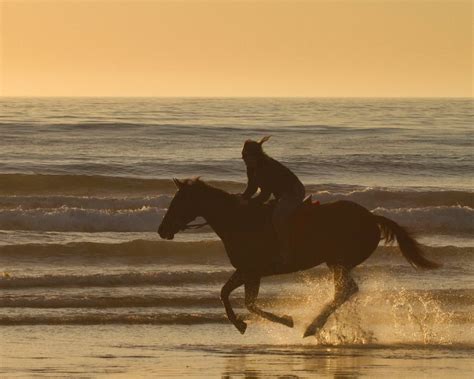Amanzimtoti Beach Horse Riding Trail, Durban