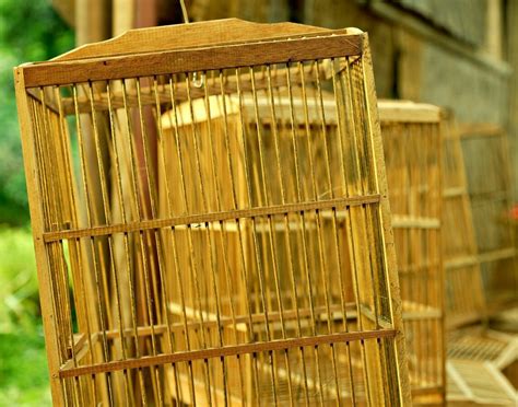 Traps for Chipmunks Home Depot 的图像结果