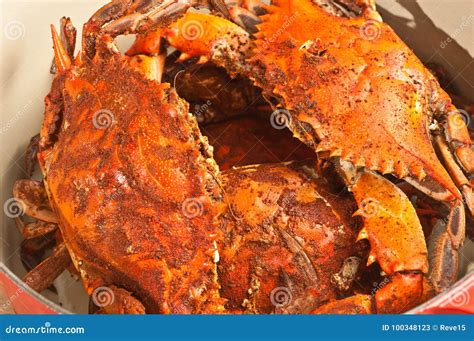 Steamed and Seasoned Chesapeake Bay Blue Crabs Stock Image - Image of ...