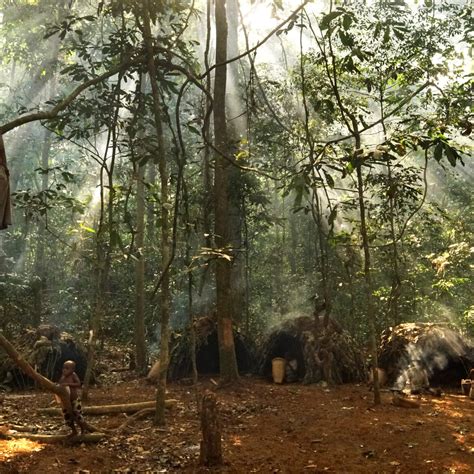 Jungles In Africa Names