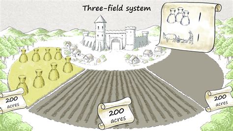 Three Field System
