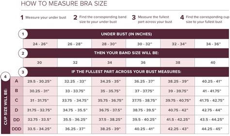 How To Measure Bra Size Chart at Sandra Moody blog