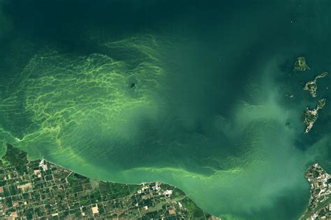 Toxic Tides: Satellites Capture Lake Erie's Alarming Transformation