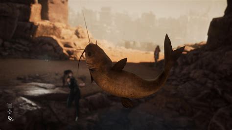 Stellar Blade Channel Catfish