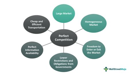 Image result for Perfect Competition