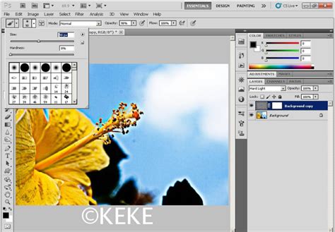 Image result for Simple Vector Image Tutorial in Photoshop