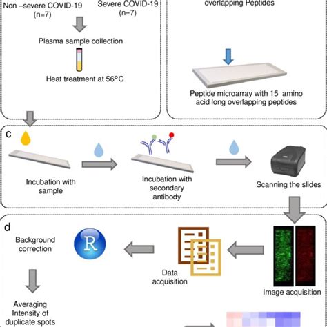 Microarray Method 的图像结果